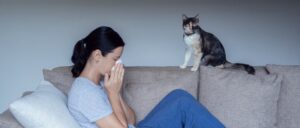 Young woman sitting on sofa sneezing with a cat nearby 3 Problems Caused by Poor Indoor Air Quality in Covina, CA Poor Indoor Air Quality in Covina, CA